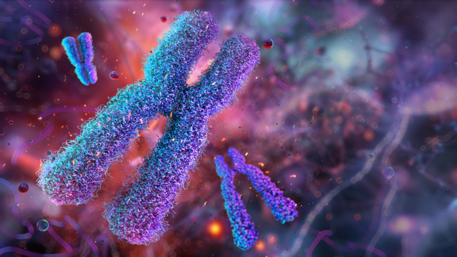 Are Telomere Tests Any Good?