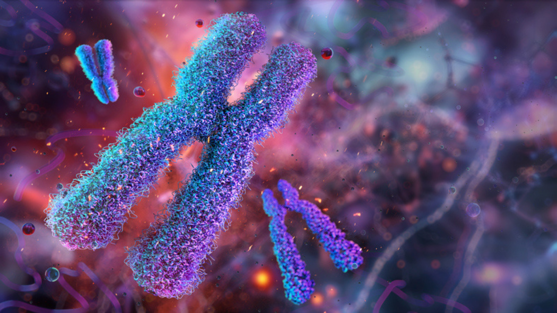 Are Telomere Tests Any Good?