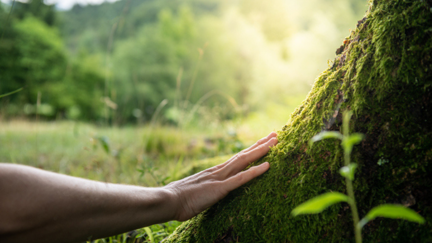 How Your Environment Impacts Longevity