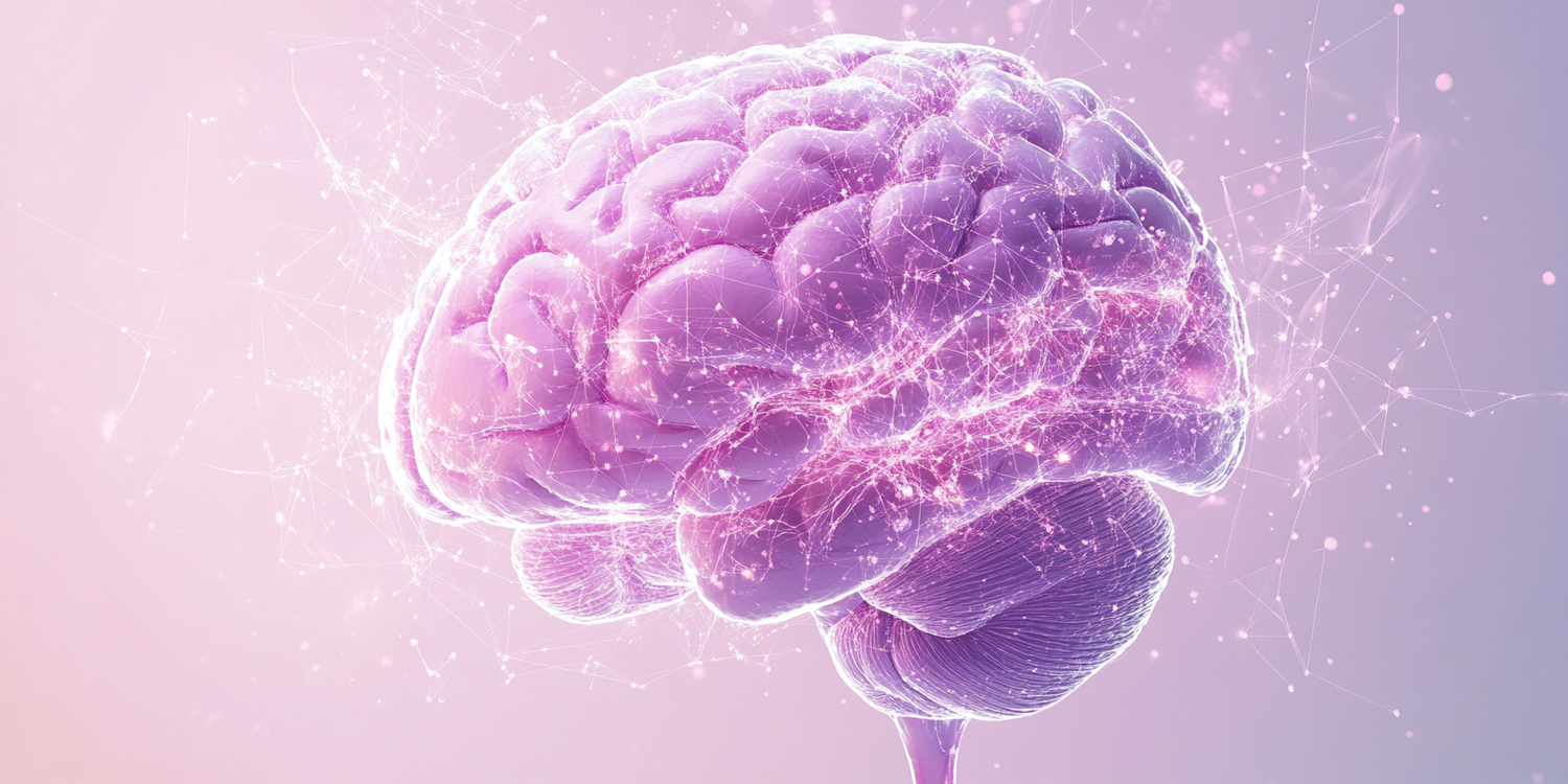 Does calorie restriction protect the ageing brain?