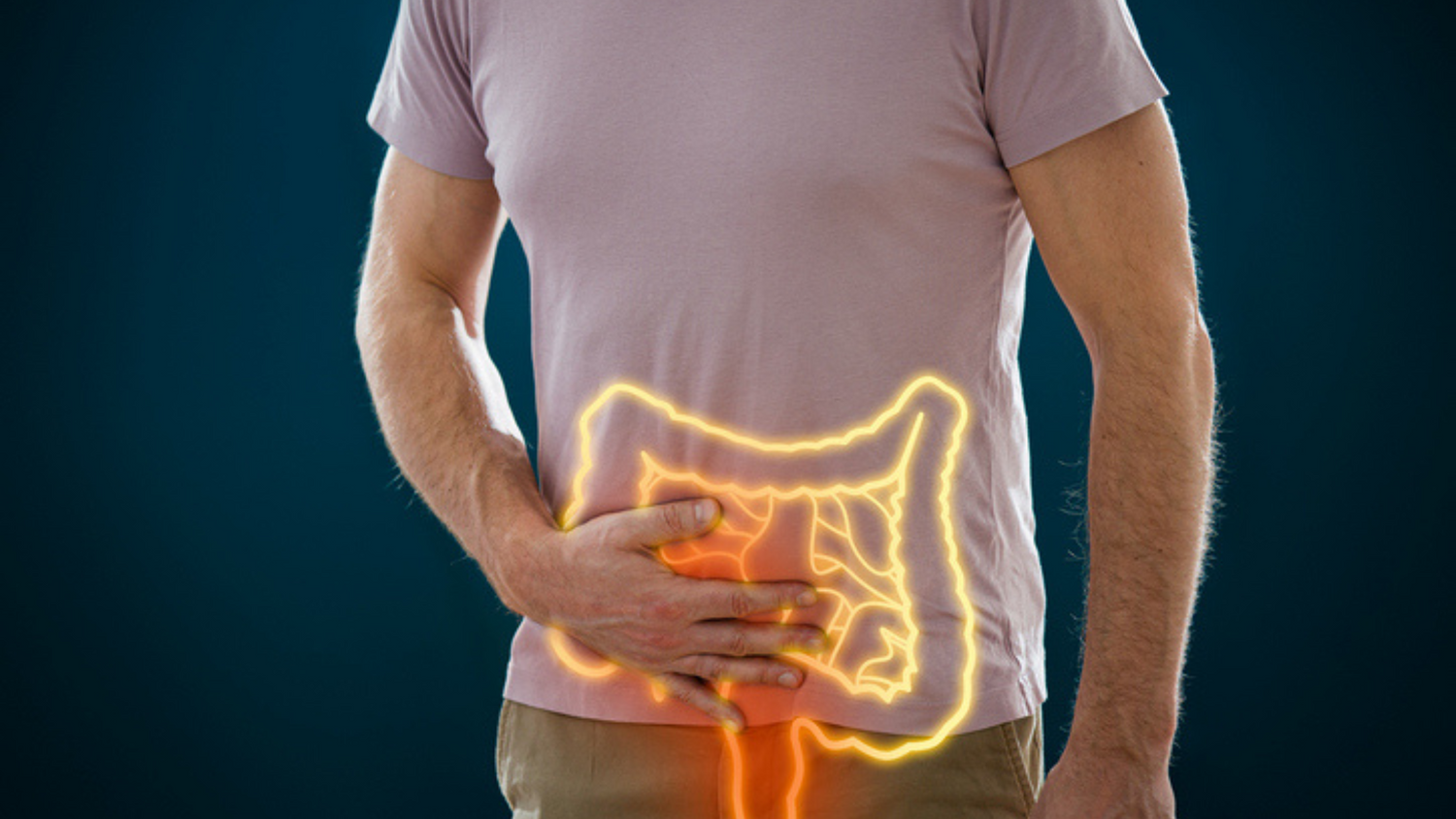 Gut Microbiome and Healthy Ageing