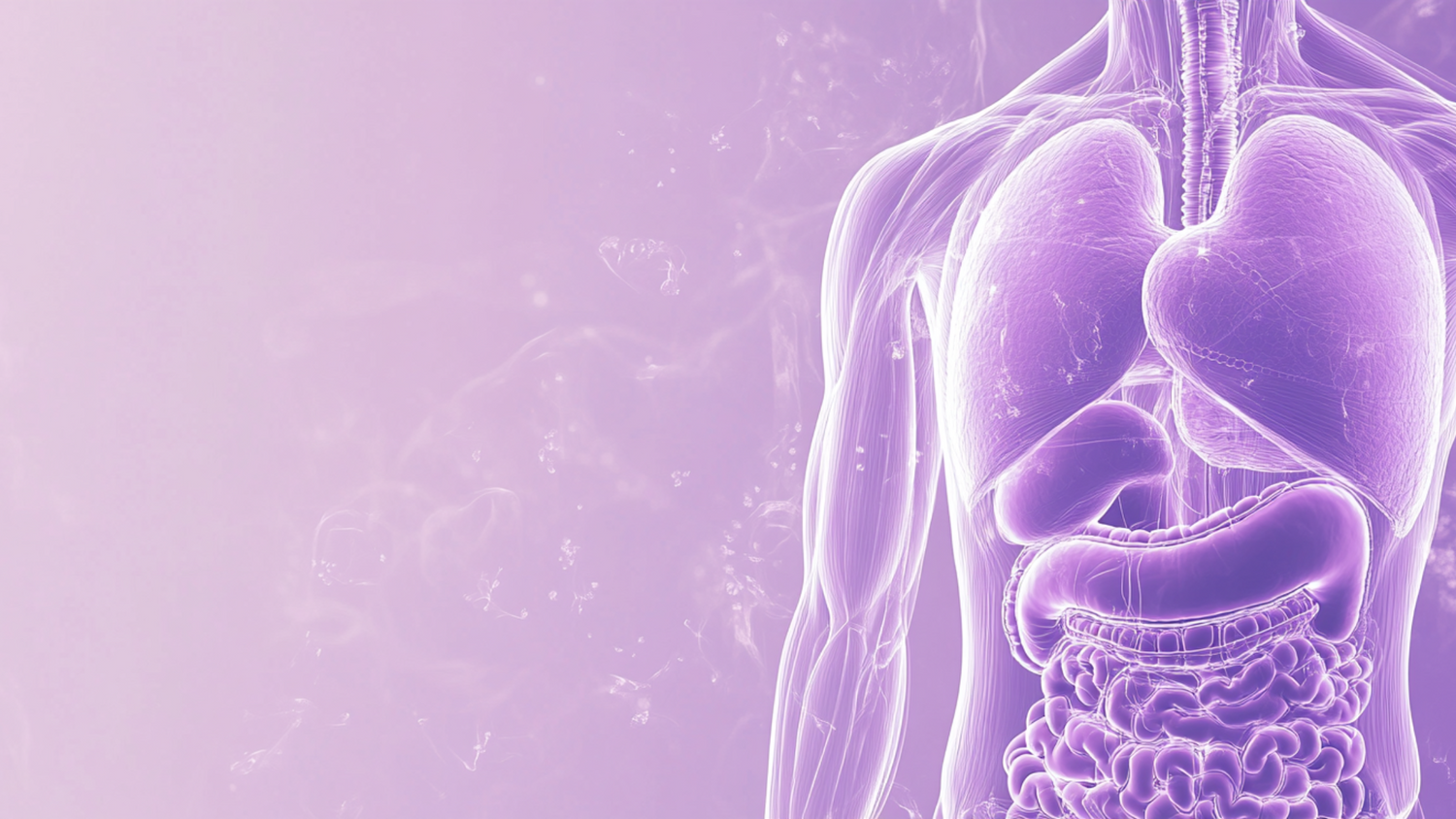 Can You Track How Fast Your Organs Are Ageing?