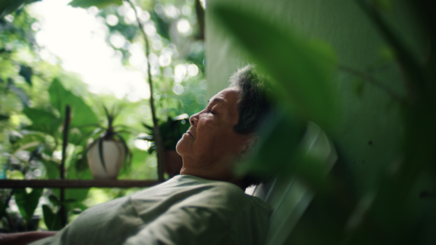 Diet and Lifestyle Lessons from the World’s Longevity Capitals