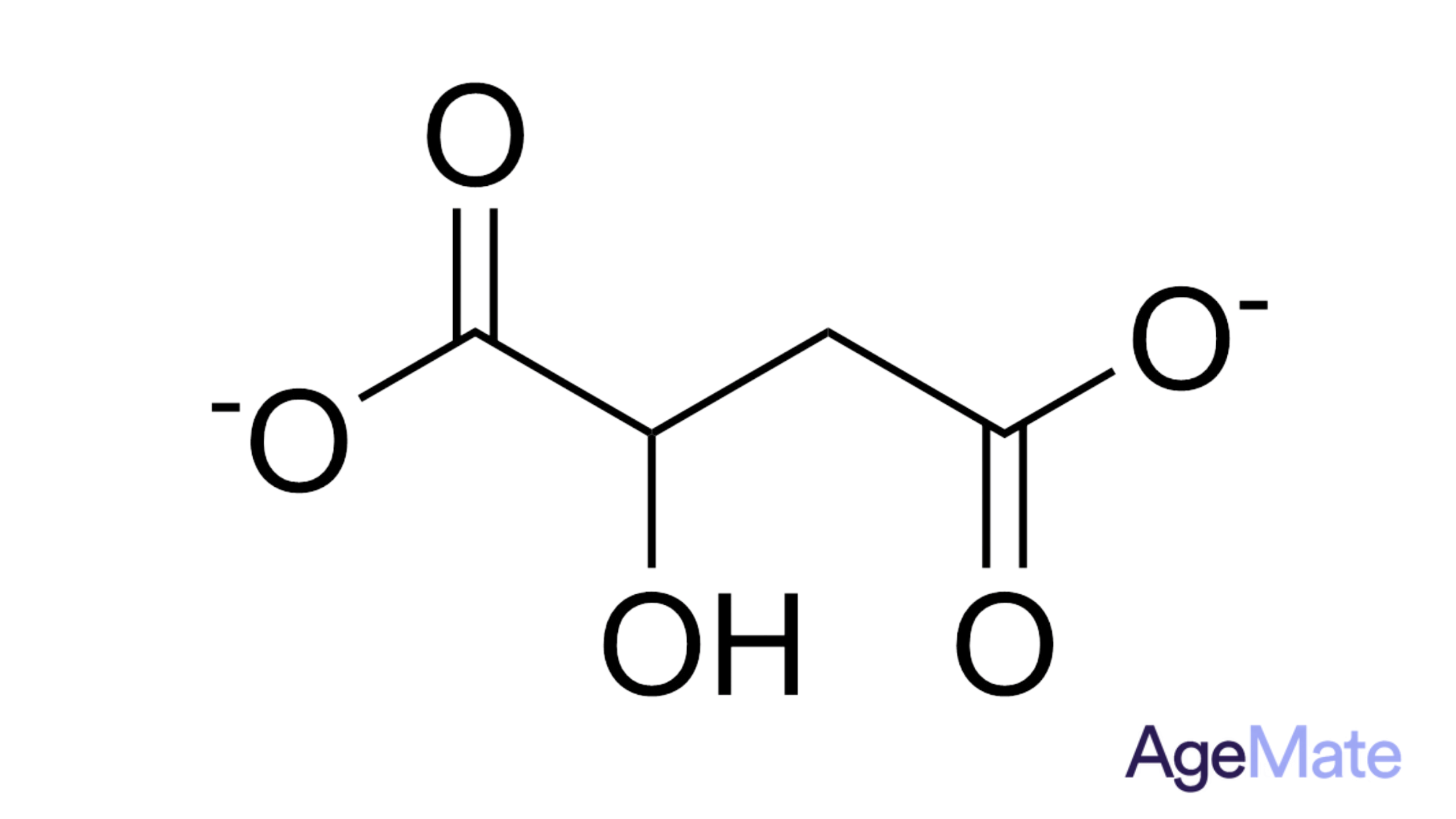 Magnesium Malate