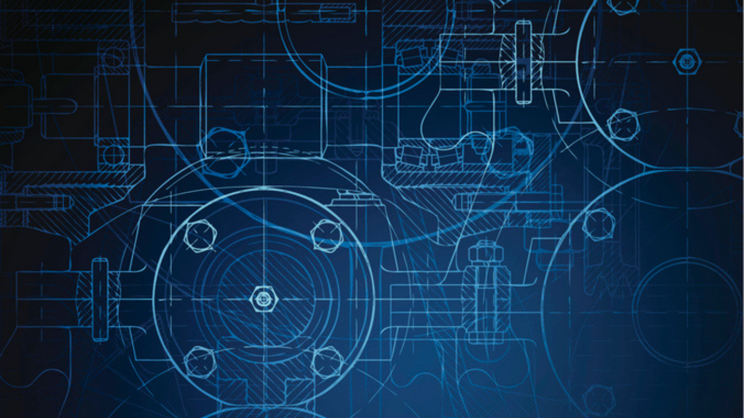 Bryan Johnson Longevity