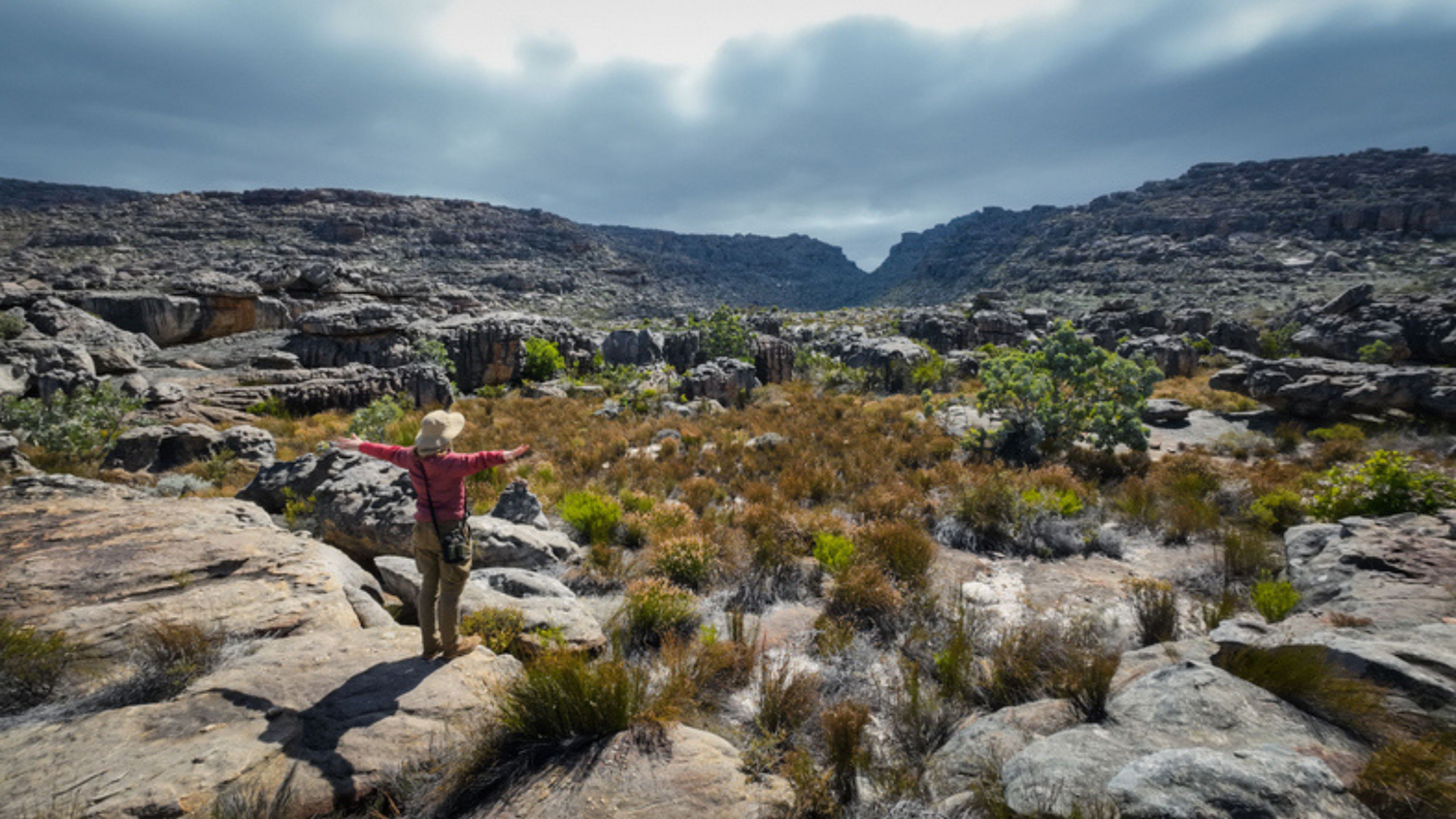 Purpose as a Lifespan Predictor: Why What You Wake Up For Matters