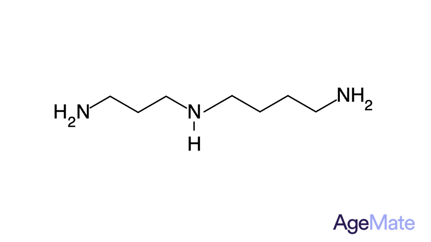 Spermidine