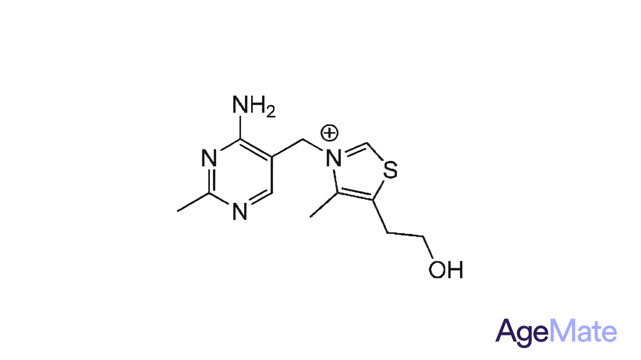 Thiamine HCI (Vitamin B1)