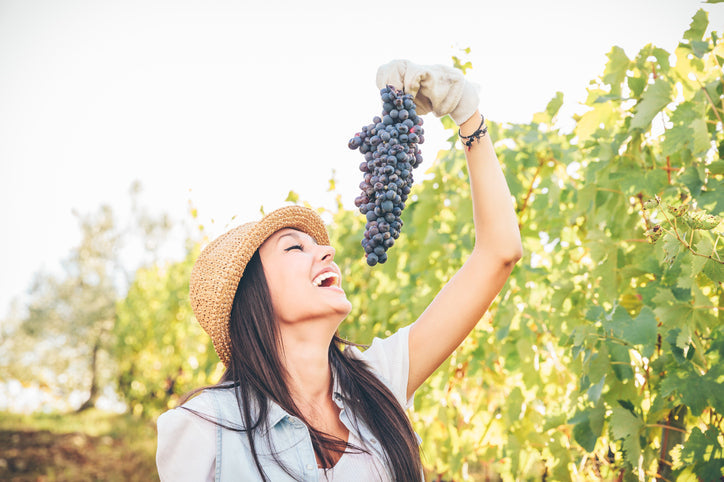 Resveratrol