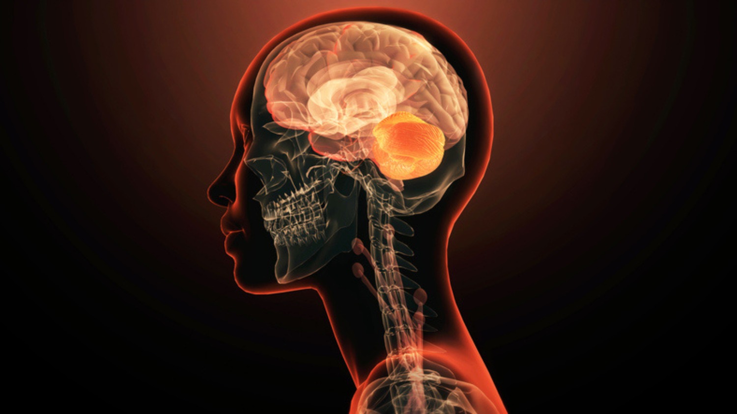 Can chronic inflammation speed up brain ageing?