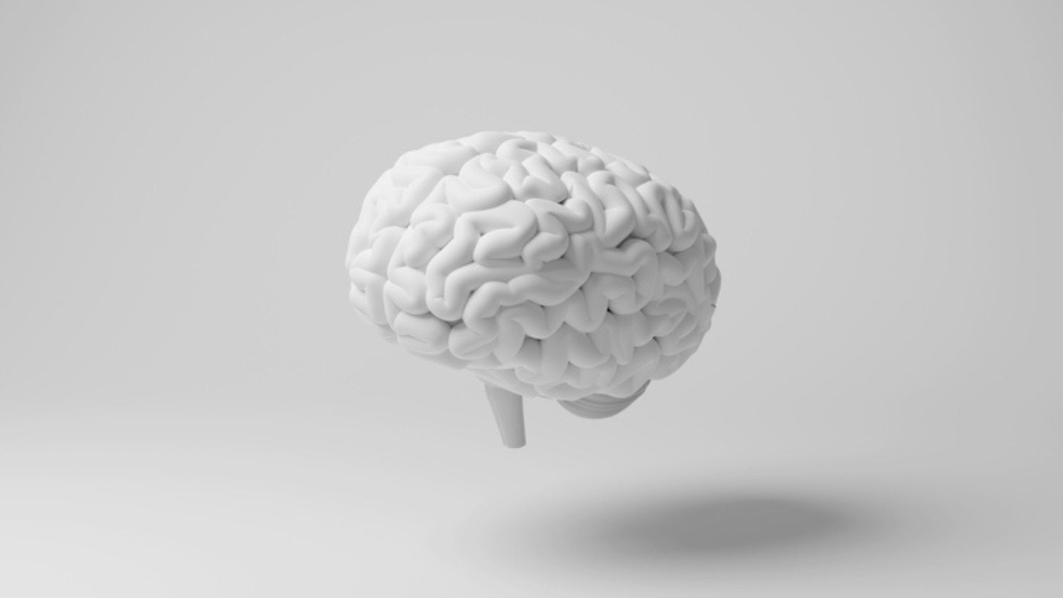 Can eating less preserve brain white matter?