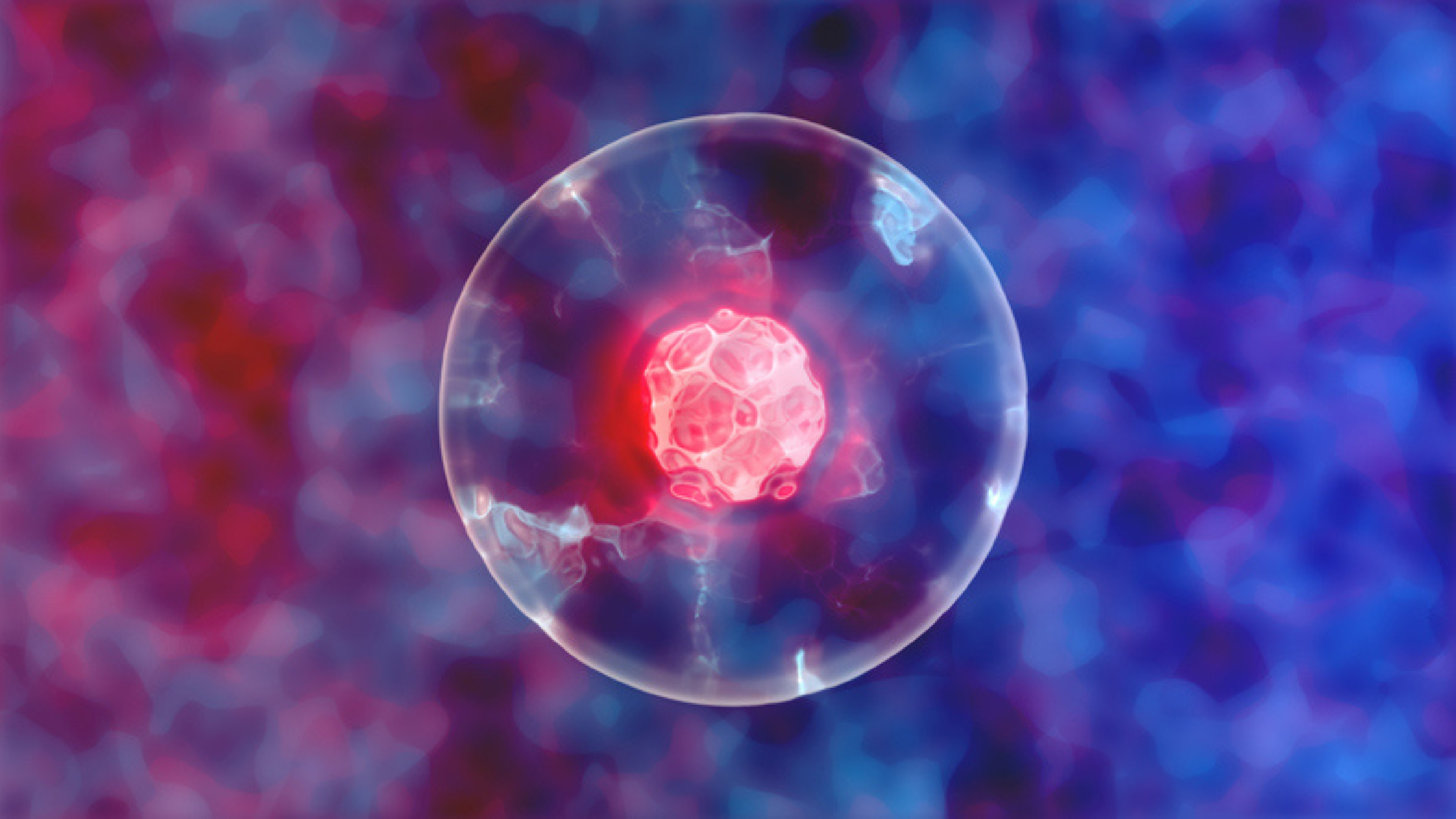 Inside the Body’s 24/7 Rebuild Cycle