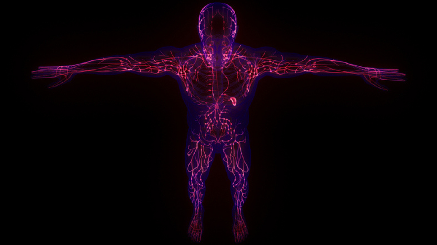 Optimising Your Lymphatic System