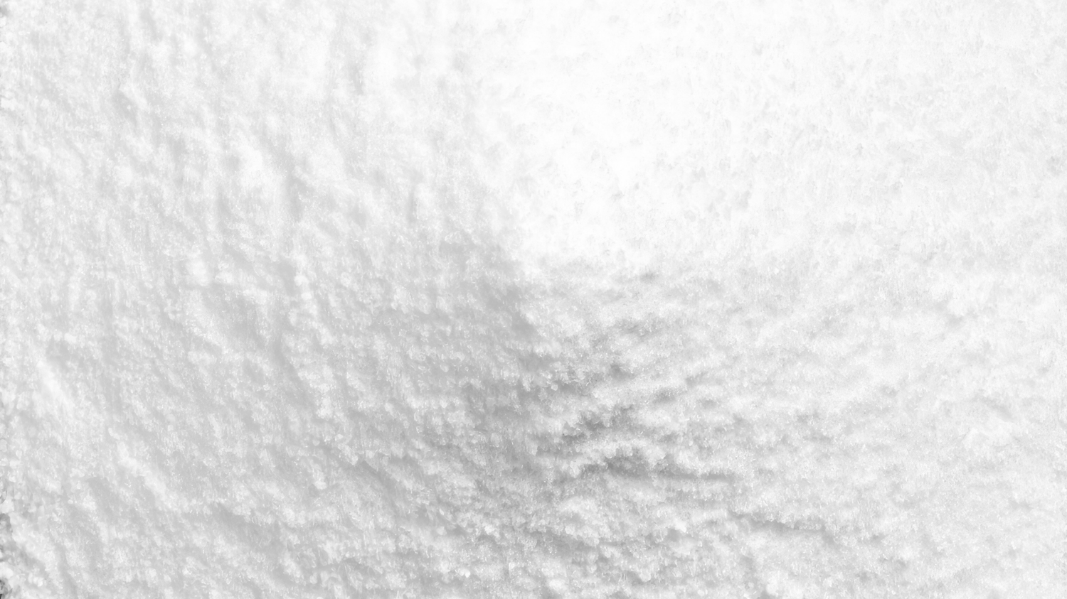 NMN Powder and Oral Absorption Explained