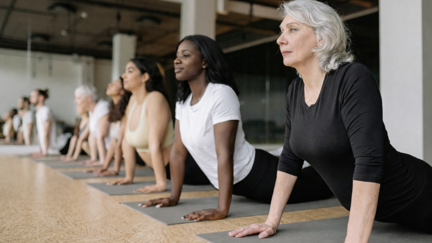 NMN and Estrogen: Hormone Pathways Explained