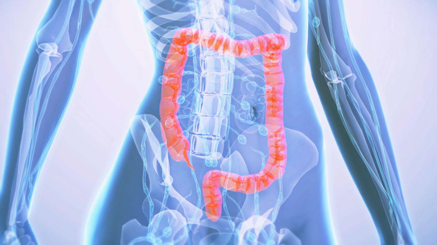 Natural Ways to Slow Colon Ageing After 40