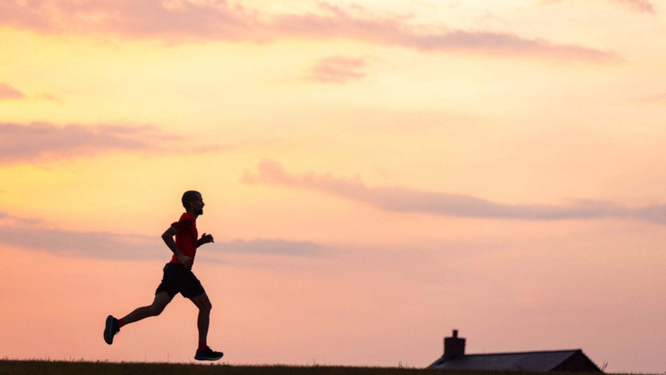 What Are Dr Peter Attia’s Longevity Tips?