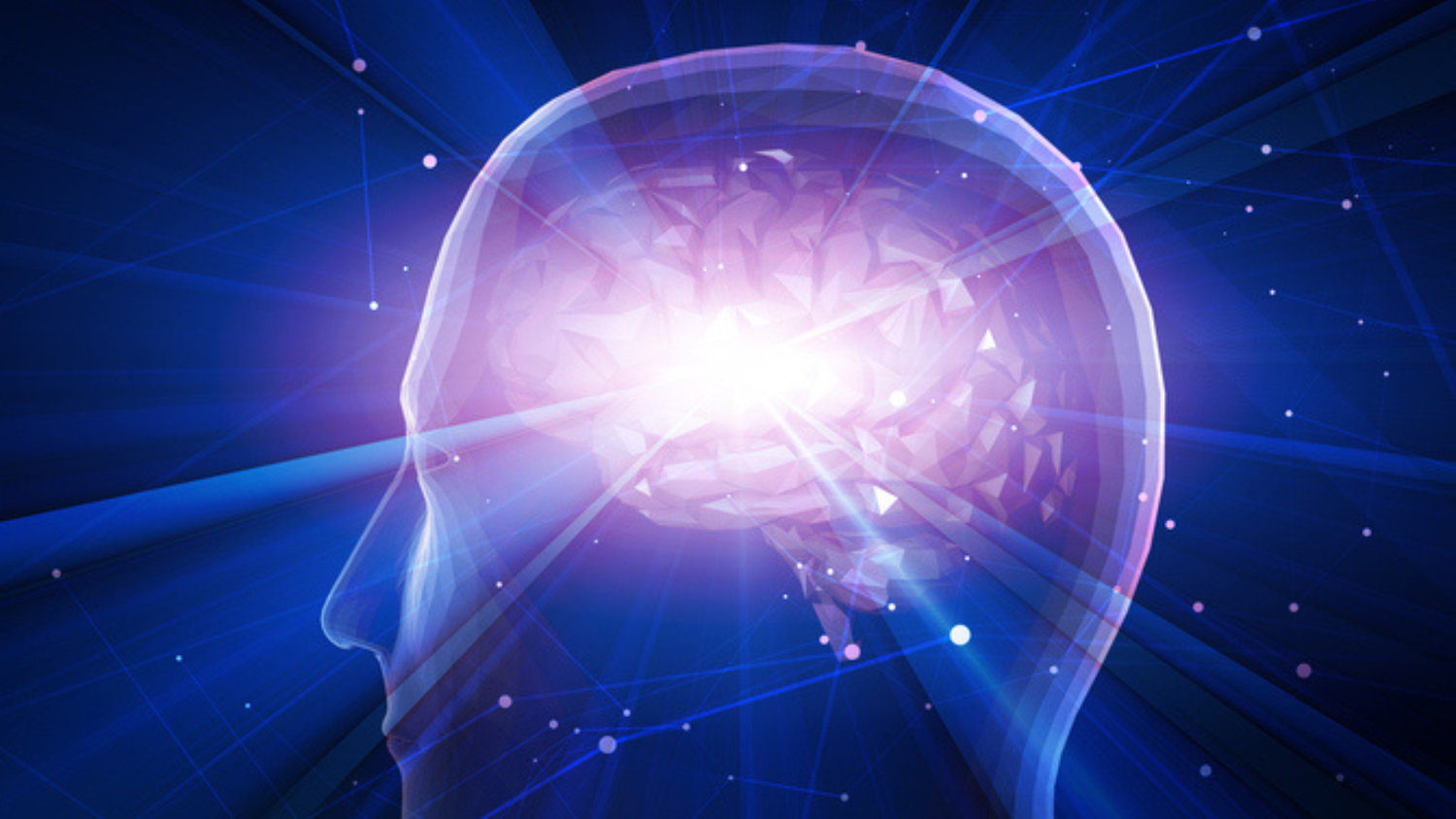 What are Dr Huberman’s top health tips?